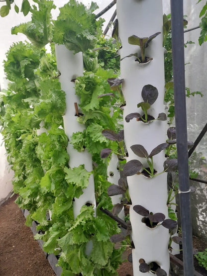 Vertical Hydroponic Grow Tower